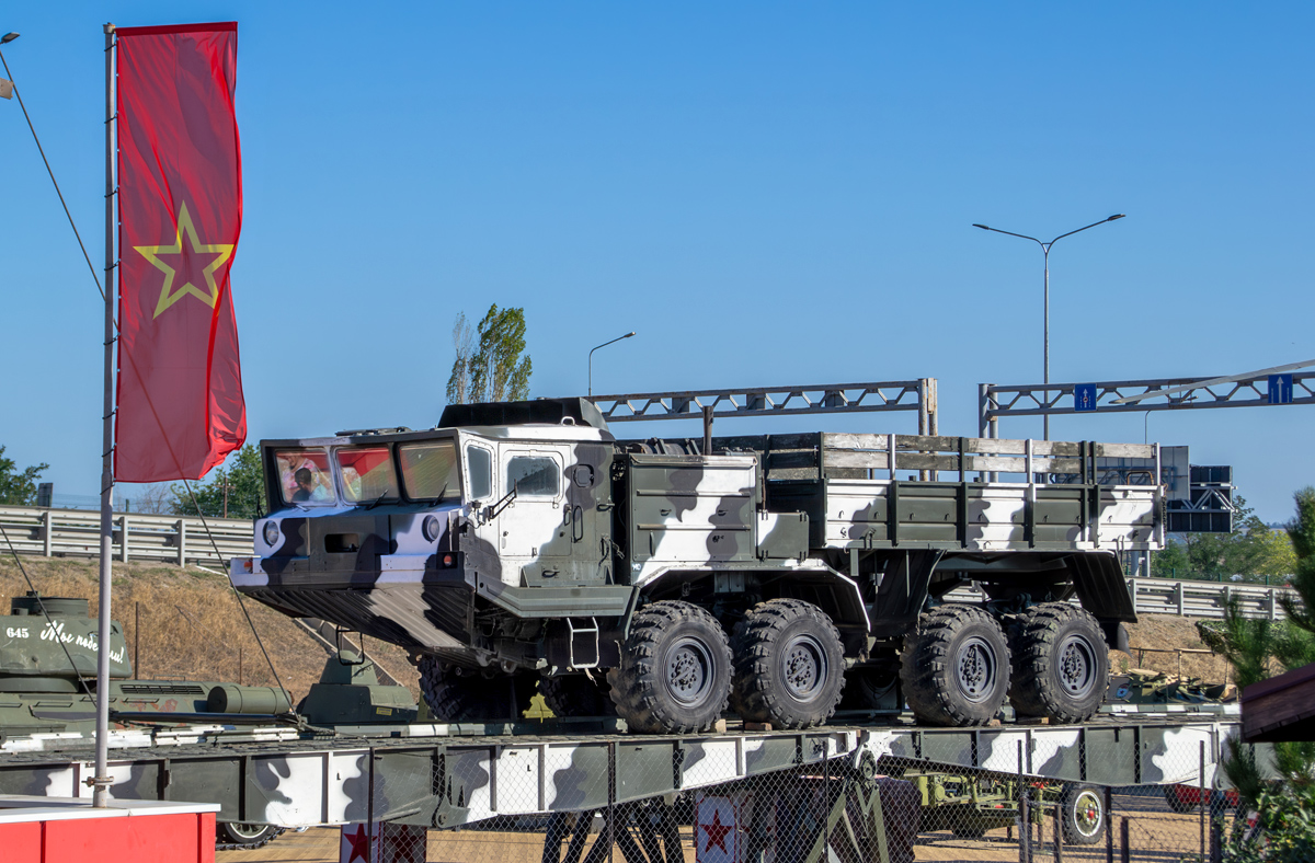 Ростовская область, № (61) Б/Н 0060 — БАЗ-6953
