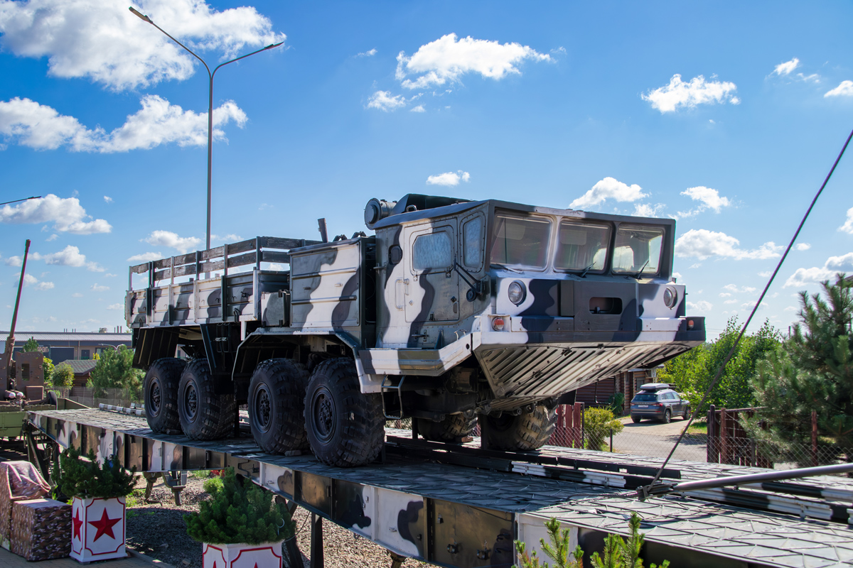 Ростовская область, № (61) Б/Н 0060 — БАЗ-6953
