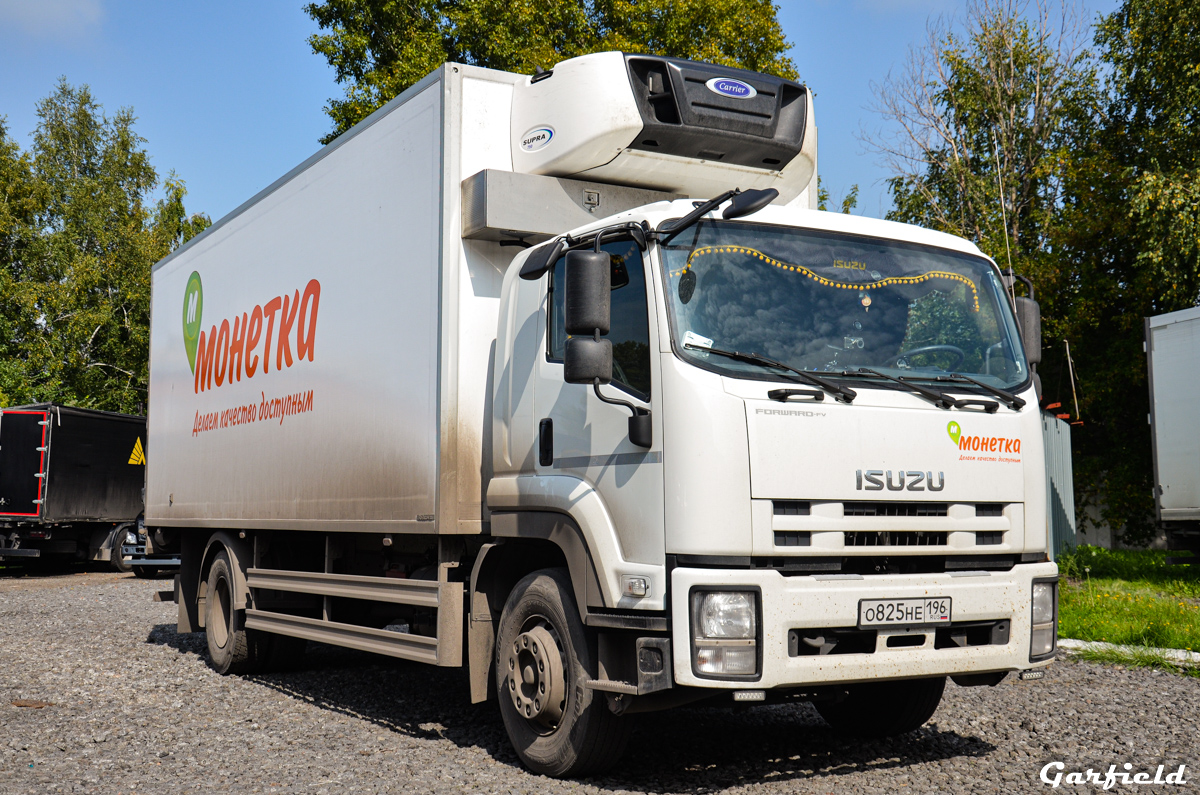 Кемеровская область, № О 825 НЕ 196 — Isuzu Forward FVR