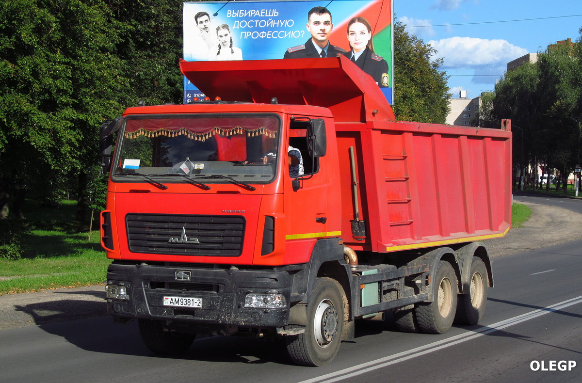 Витебская область, № АМ 9381-2 — МАЗ-6501 (общая модель)