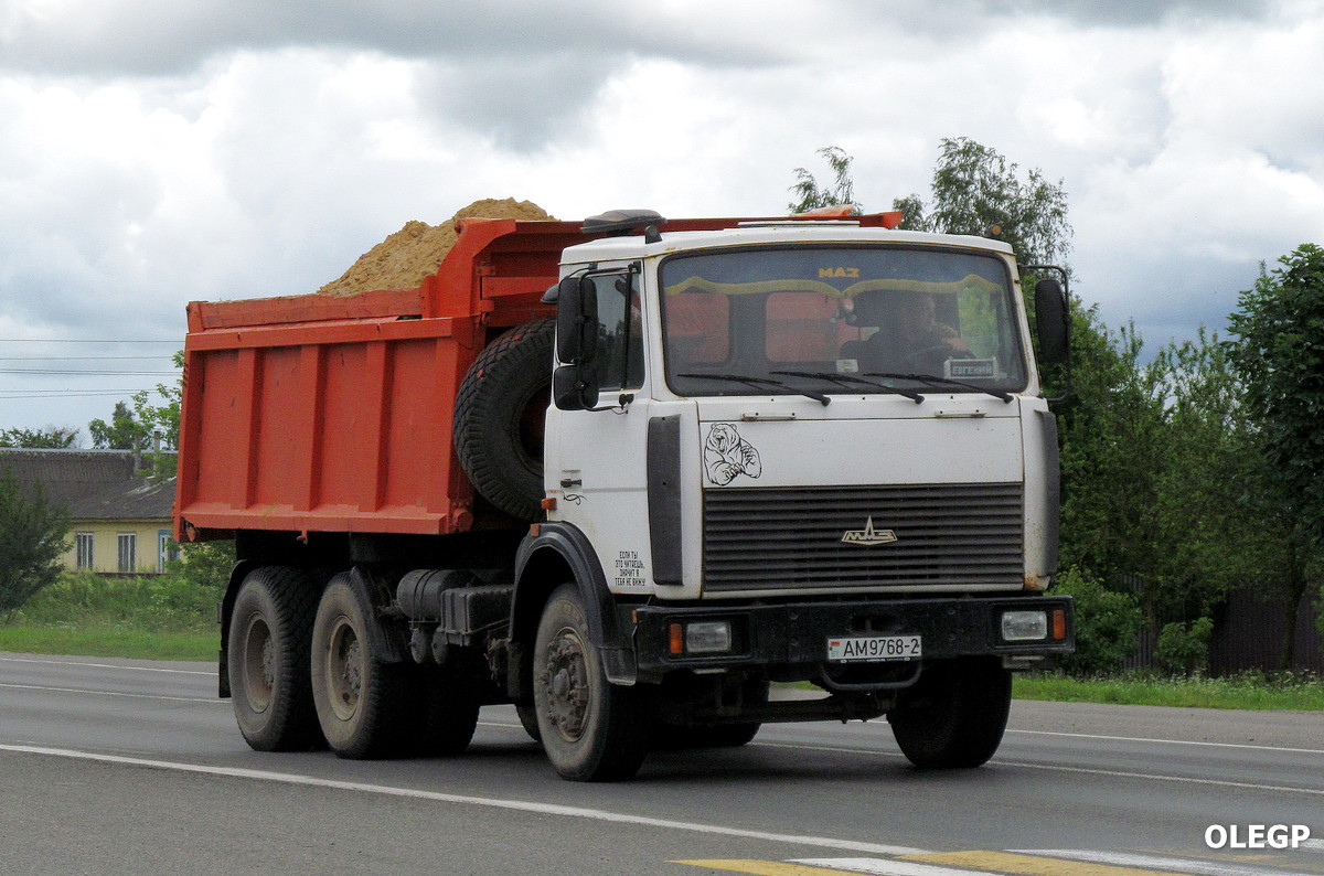 Витебская область, № АМ 9768-2 — МАЗ-5516 (общая модель)