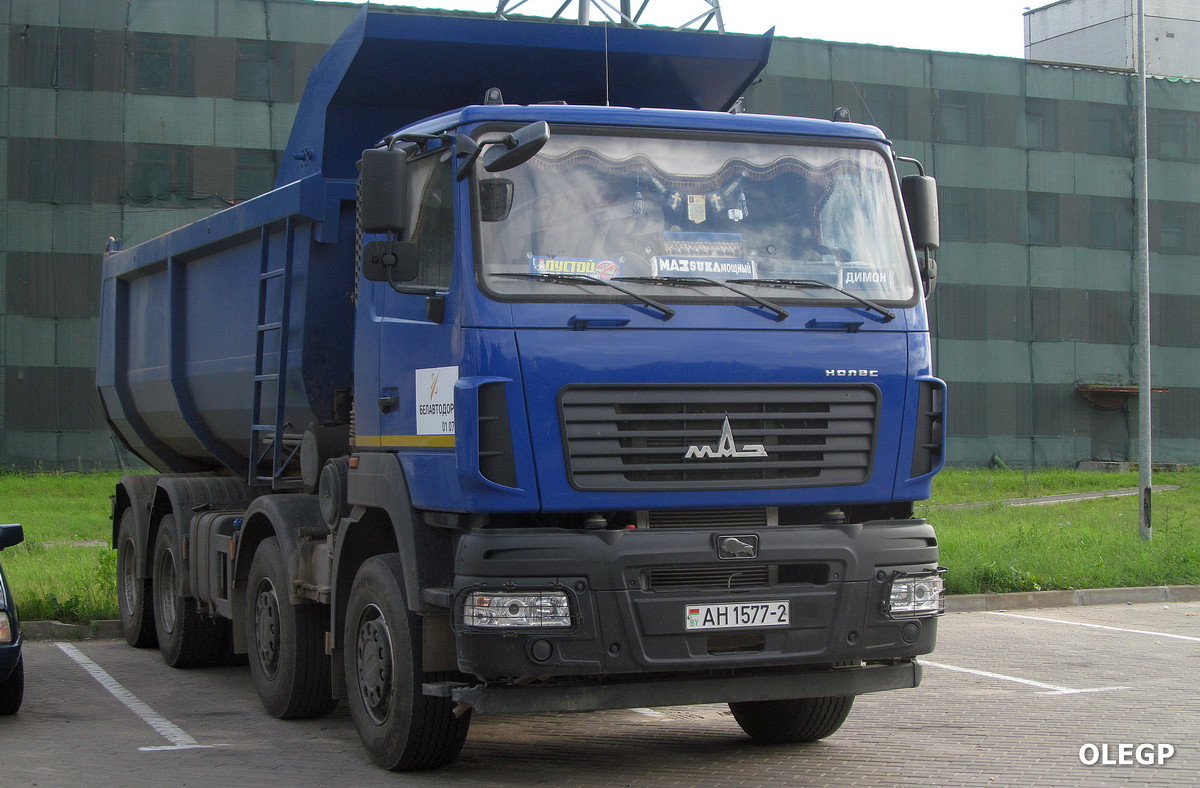 Витебская область, № АН 1577-2 — МАЗ-6516 (общая модель)