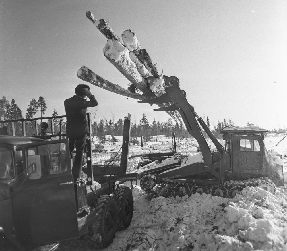 Архангельская область — Исторические фотографии (Разное)