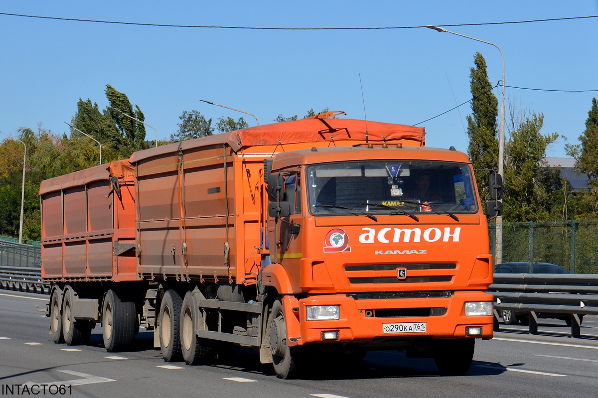 Ростовская область, № О 290 КА 761 — КамАЗ-65115-A5(48)