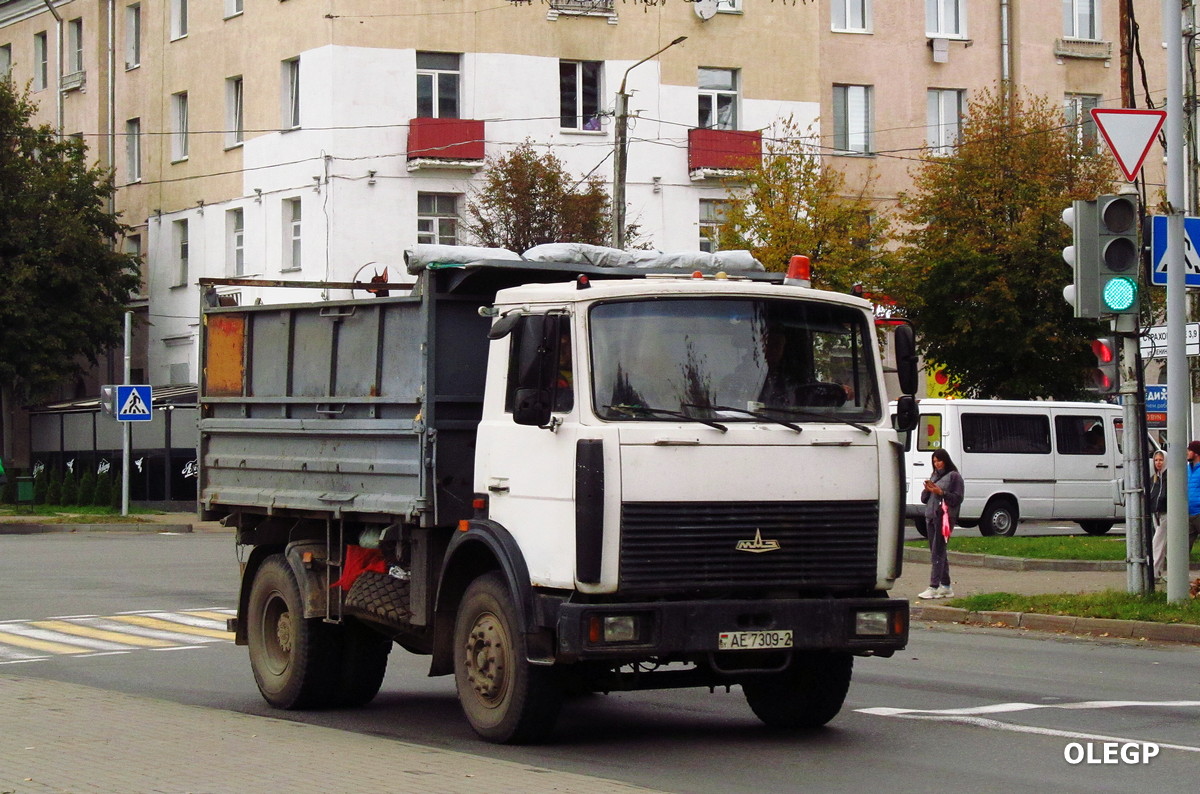 Витебская область, № АЕ 7309-2 — МАЗ-5551 (общая модель)