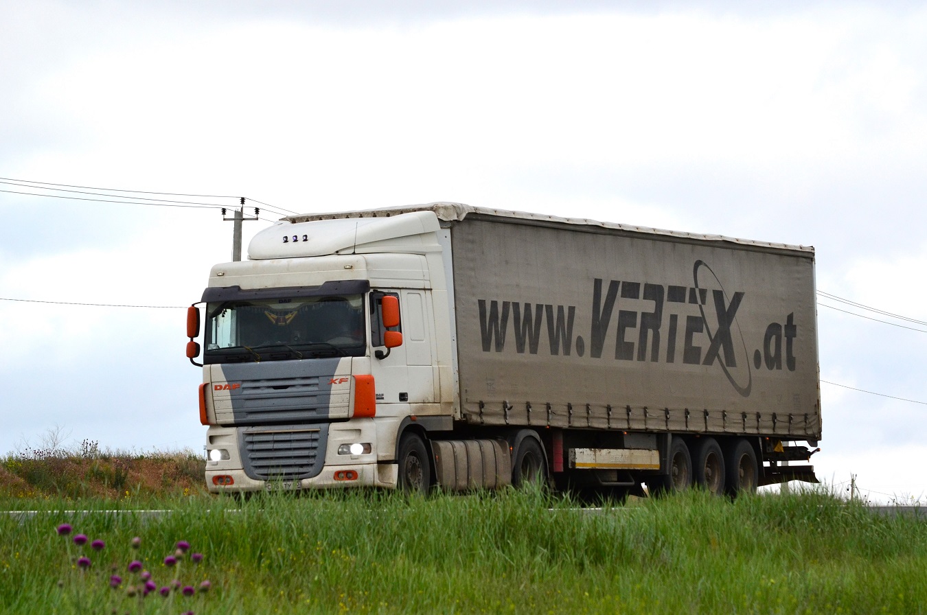 Псковская область, № С 086 ТУ 60 — DAF XF105 FT