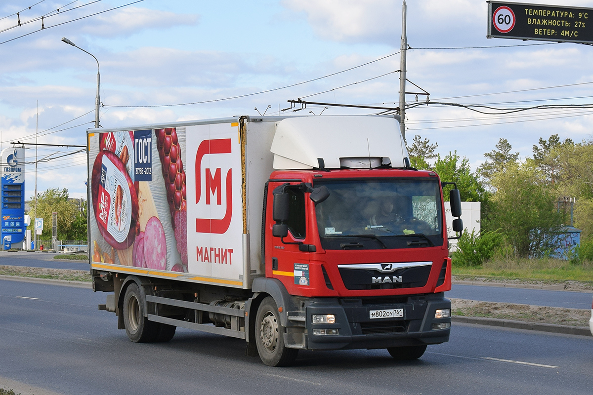 Волгоградская область, № М 802 ОУ 761 — MAN TGM 18.250