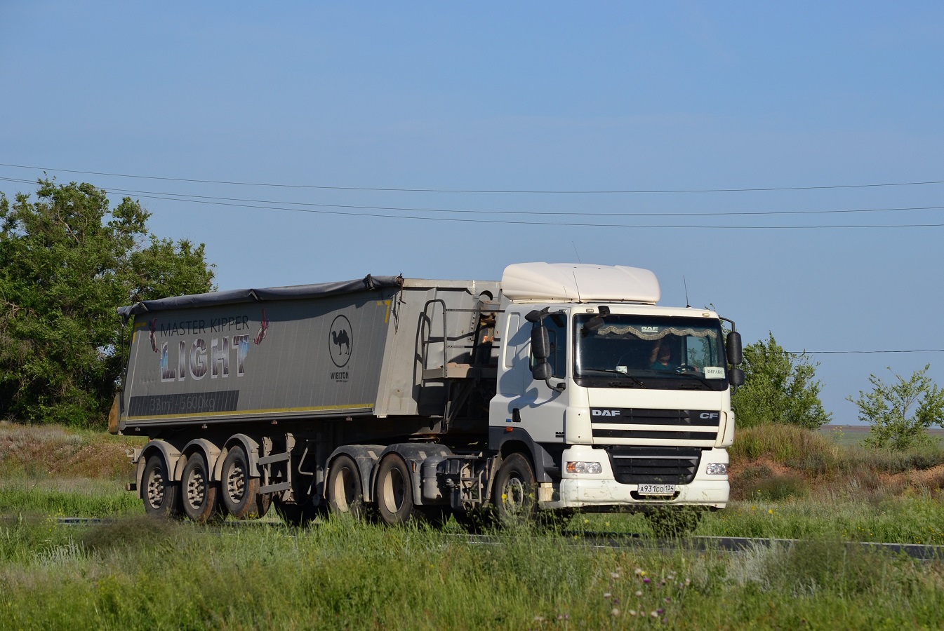 Волгоградская область, № А 931 СО 134 — DAF CF85 FTT