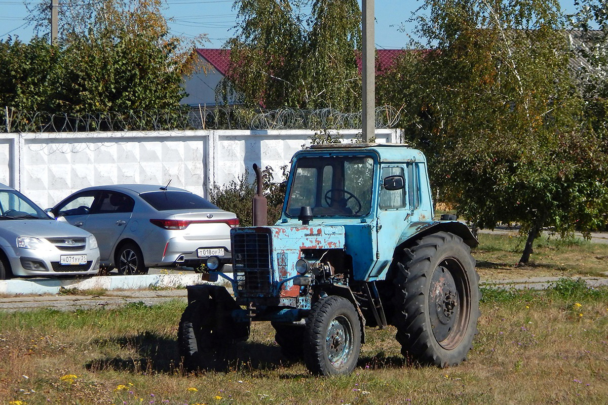 Белгородская область, № (31) Б/Н СТ 0181 — МТЗ-80