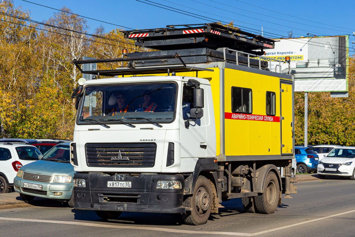 Омская область, № Х 817 ТС 55 — МАЗ-4381N2