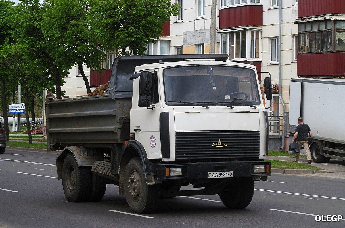 Витебская область, № АА 6981-2 — МАЗ-5551 (общая модель)