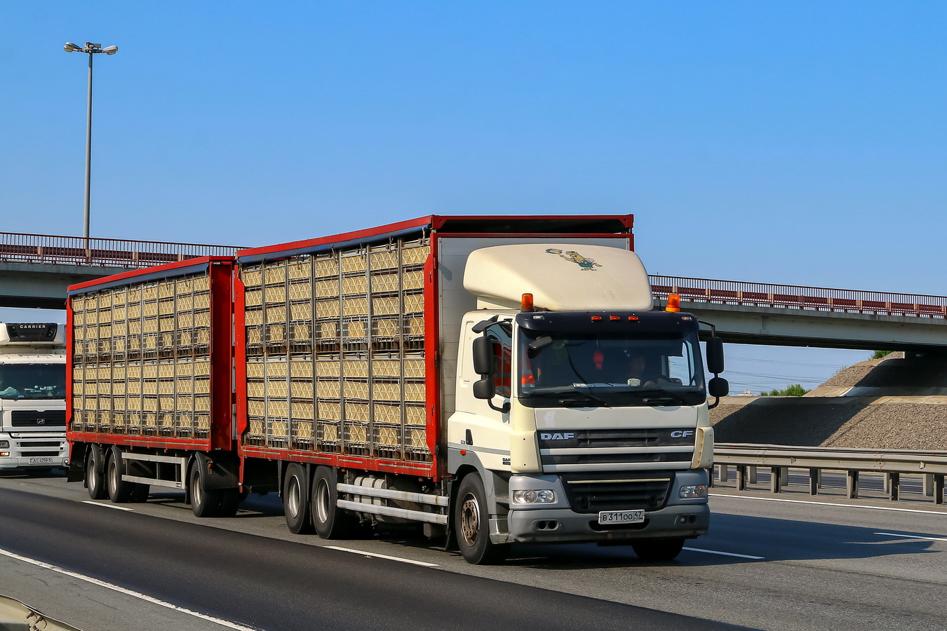 Ленинградская область, № В 311 ОО 47 — DAF 85 (CF) FAT