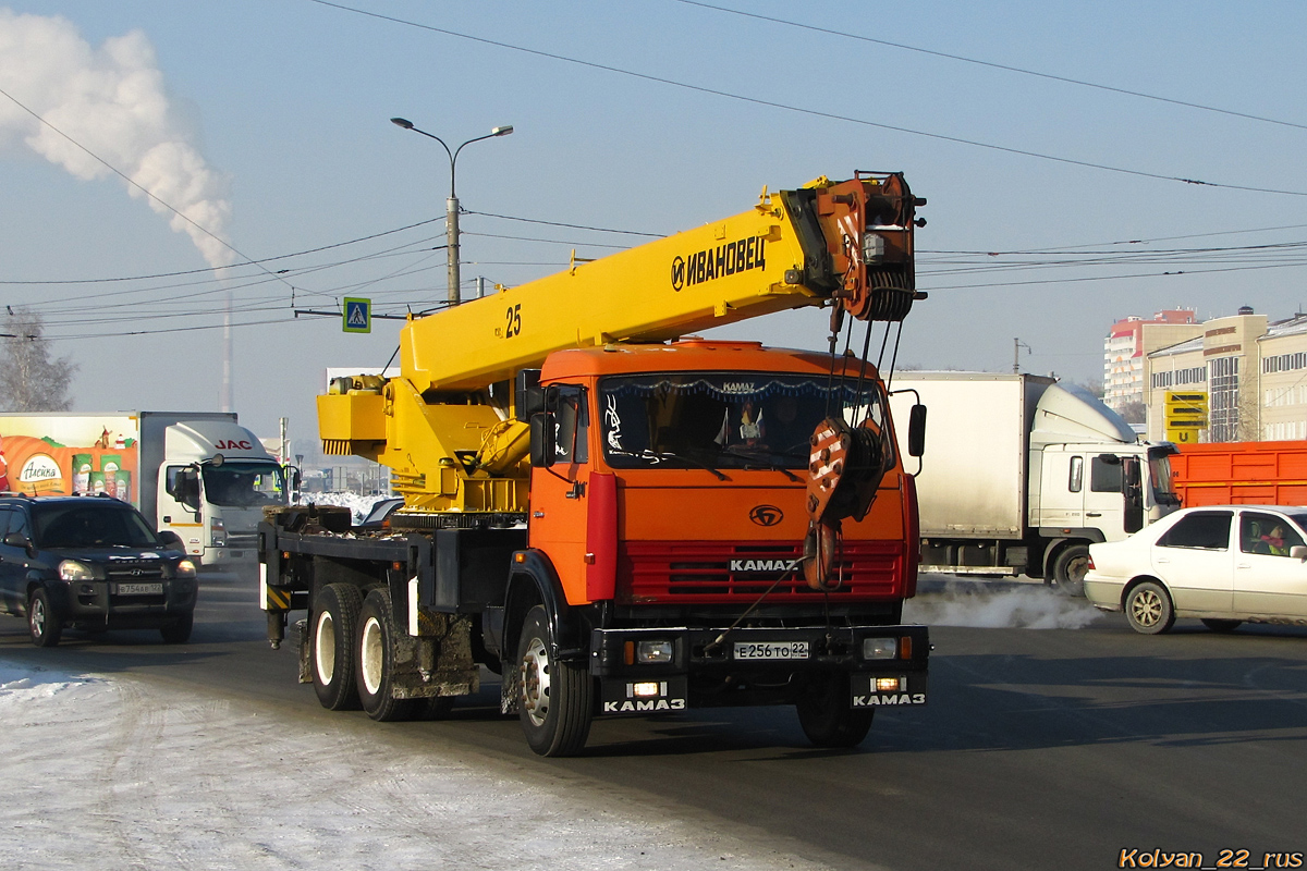 Алтайский край, № Е 256 ТО 22 — БАЗ-8029