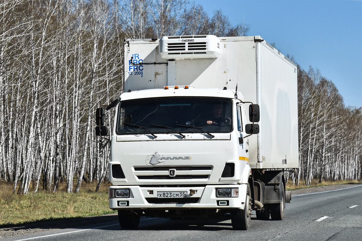 Омская область, № Х 823 СМ 55 — КамАЗ-4308 (общая модель)