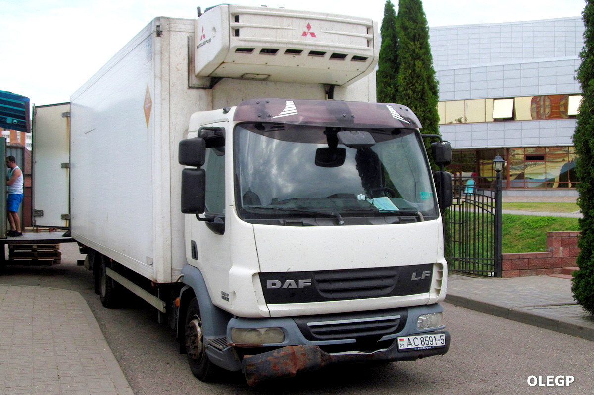 Минская область, № АС 8591-5 — DAF LF45 FA