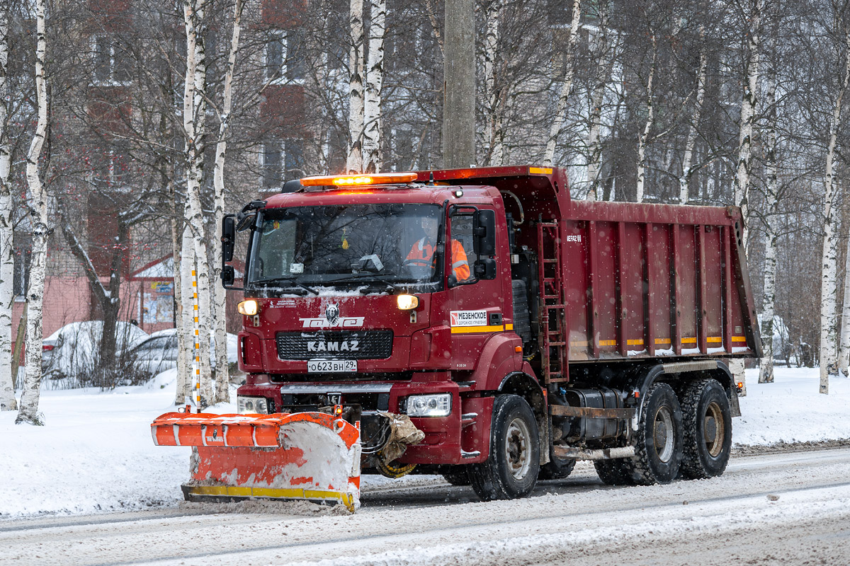 Архангельская область, № О 623 ВН 29 — КамАЗ-6520-53 "Люкс"