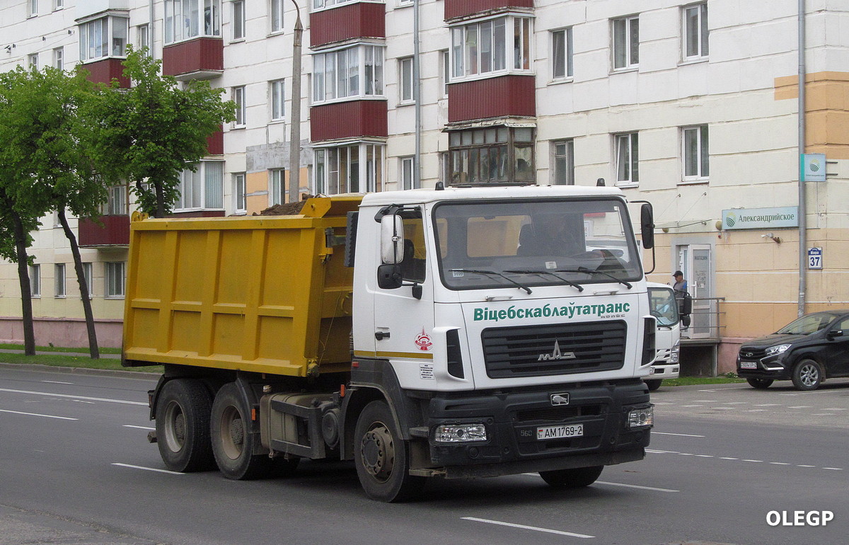 Витебская область, № АМ 1769-2 — МАЗ-6501 (общая модель)