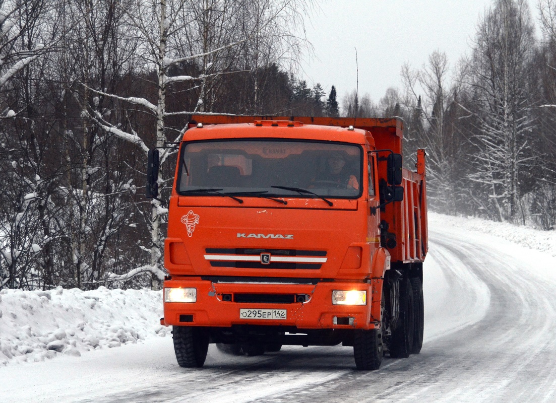 Кемеровская область, № О 295 ЕР 142 — КамАЗ-65115 (общая модель)
