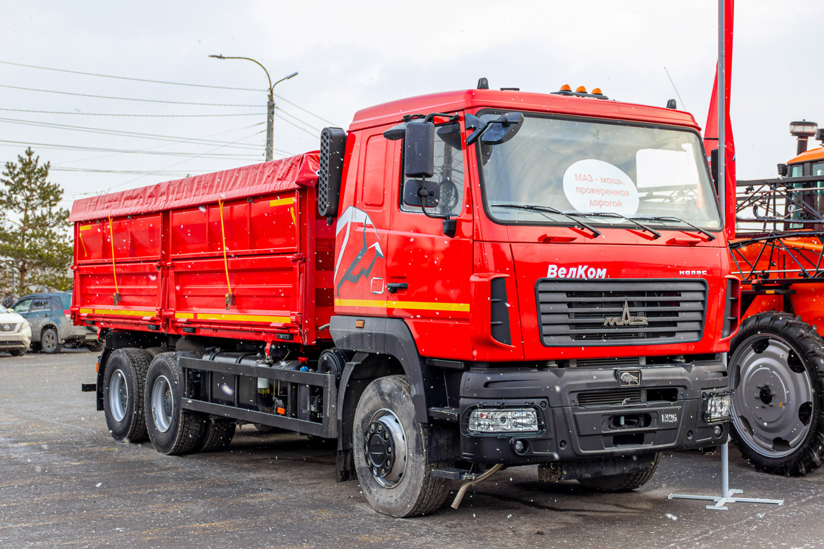 Омская область, № (55) Б/Н 0039 — МАЗ-65012J; Минск — Новые автомобили МАЗ; Транспортные средства без номеров (Омская область); Новая техника (Омская область)