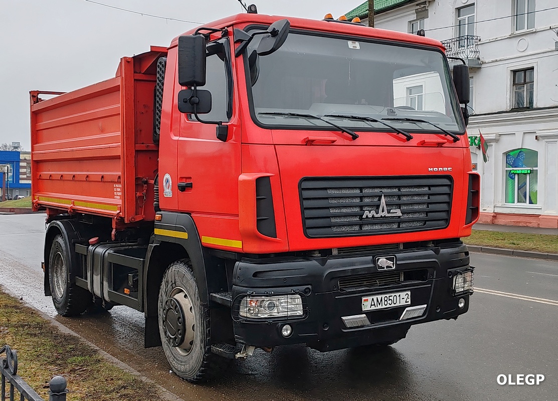 Витебская область, № АМ 8501-2 — МАЗ-5550 (общая модель)