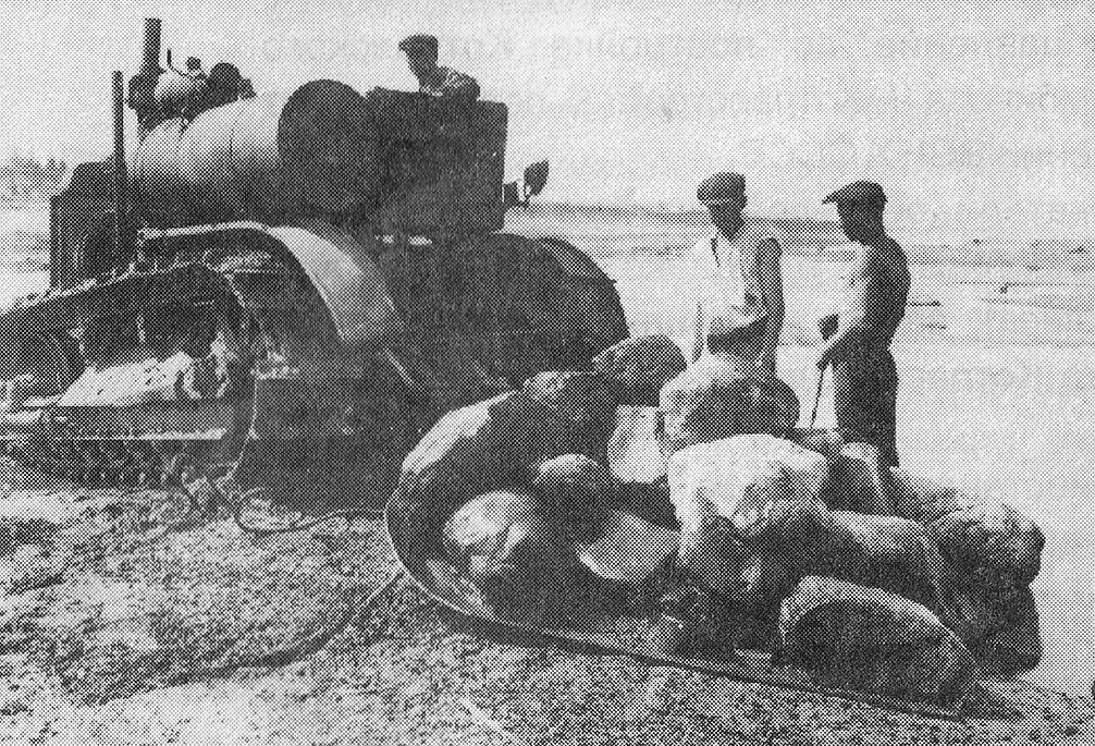 Исторические фотографии (до 2000 года) (Архангельская область)