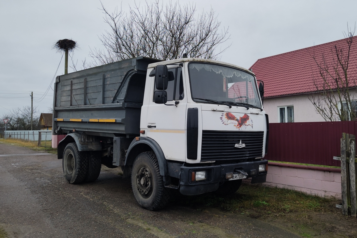 Брестская область, № АМ 7339-1 — МАЗ-5551 (общая модель)