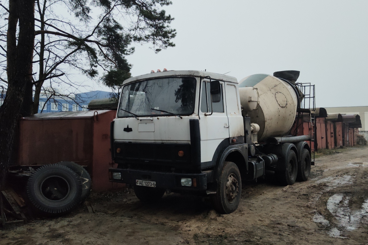 Могилёвская область, № АЕ 1273-6 — МАЗ-6303 (общая модель)
