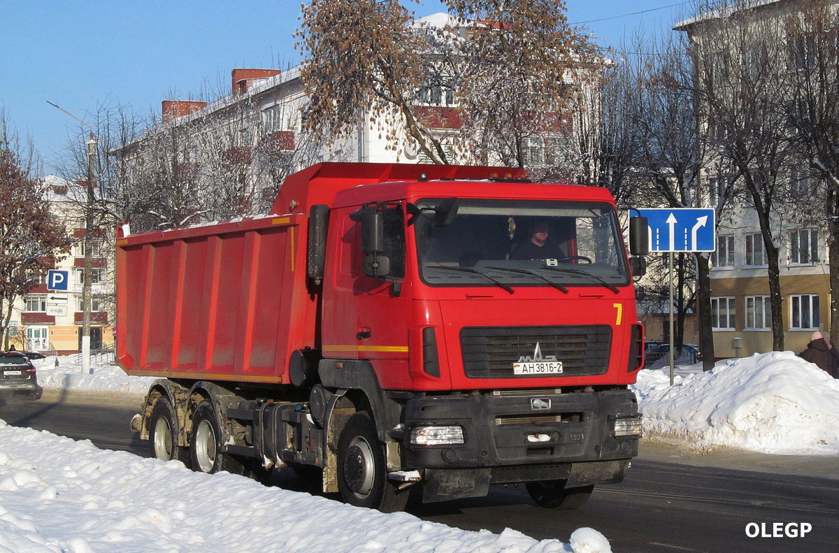 Витебская область, № 7 — МАЗ-650128