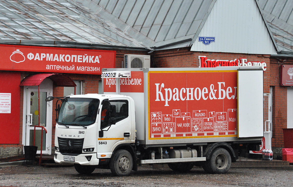 Омская область, № 5843 — КамАЗ-43089-F5 "Компас 9"