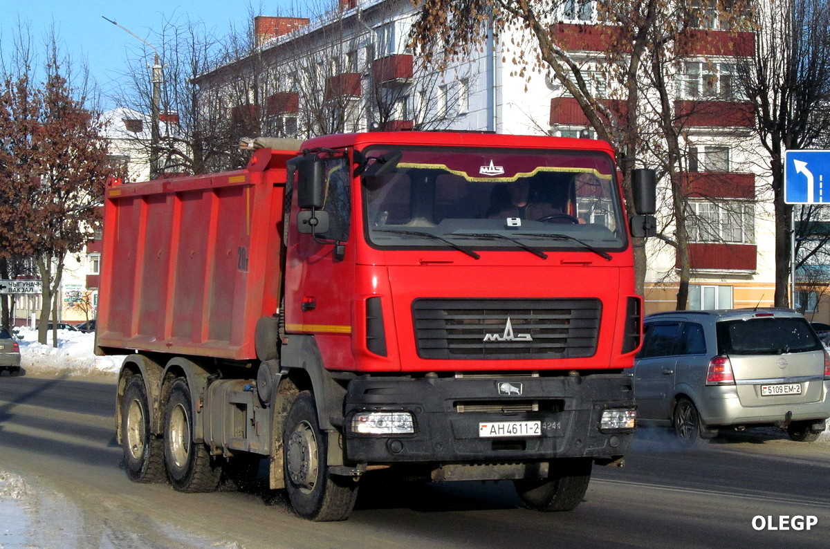 Витебская область, № АН 4611-2 — МАЗ-650128