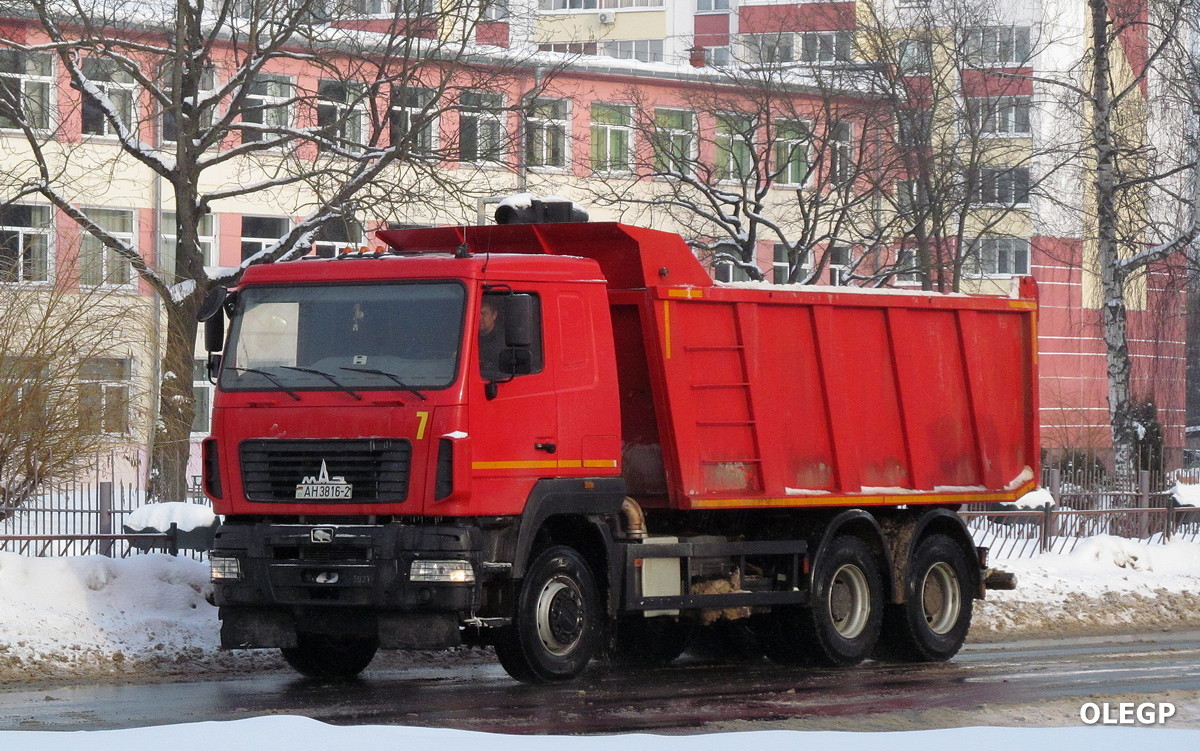 Витебская область, № 7 — МАЗ-650128
