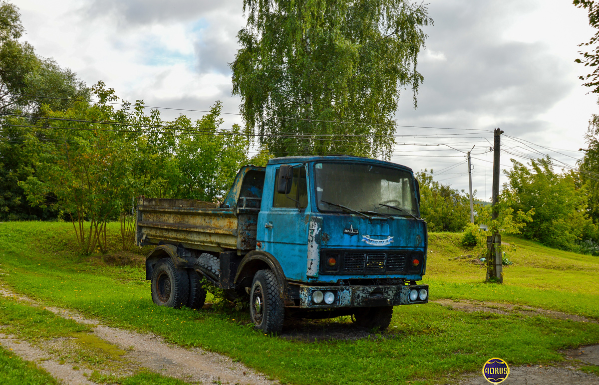 Калужская область, № А 738 РЕ 40 — МАЗ-5551 [555100]