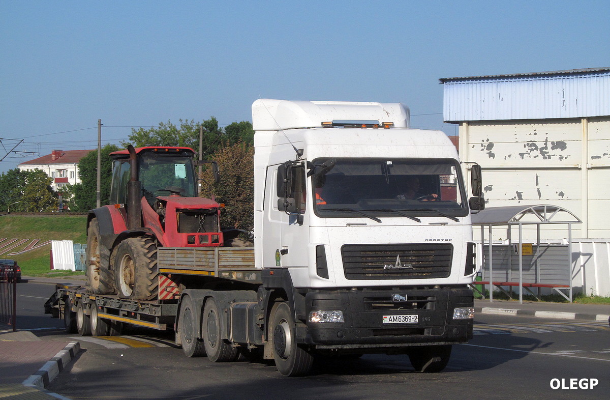 Витебская область, № АМ 6369-2 — МАЗ-6430 (общая модель)
