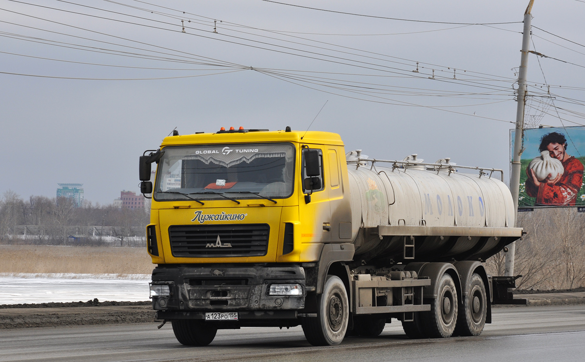 Омская область, № А 123 РО 155 — МАЗ-6312 (общая модель)