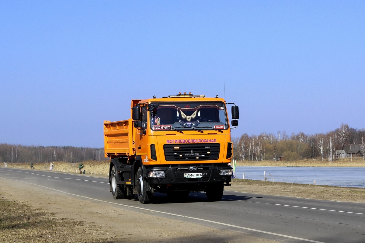 Могилёвская область, № АМ 4110-6 — МАЗ-555026-4585-000