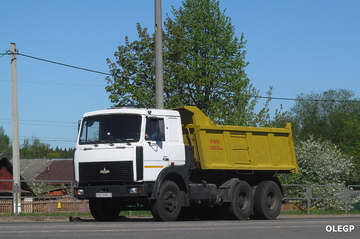 Минск, № АС 5181-7 — МАЗ-5516 (общая модель)