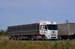 318 КБ