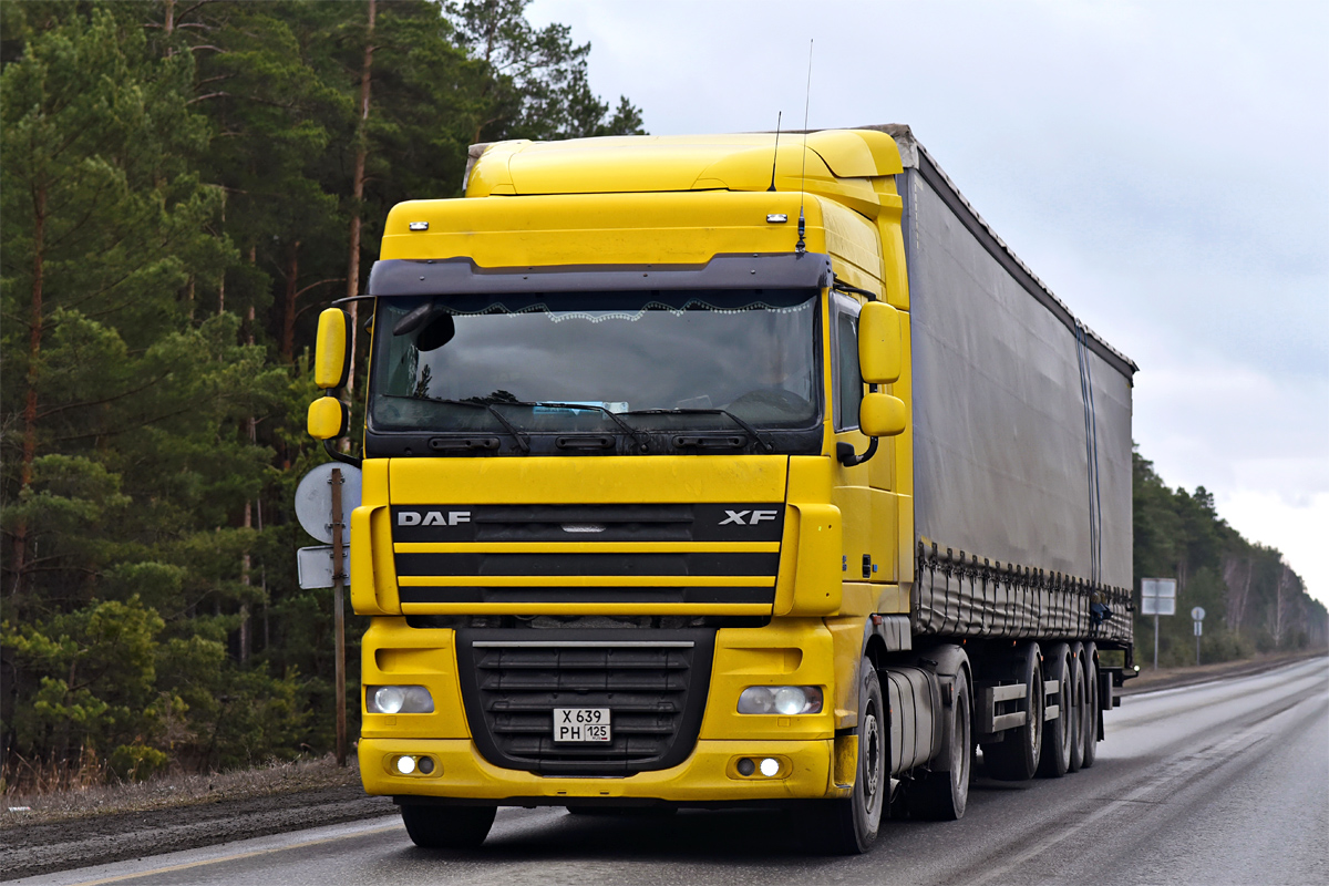 Приморский край, № Х 639 РН 125 — DAF XF105 FT
