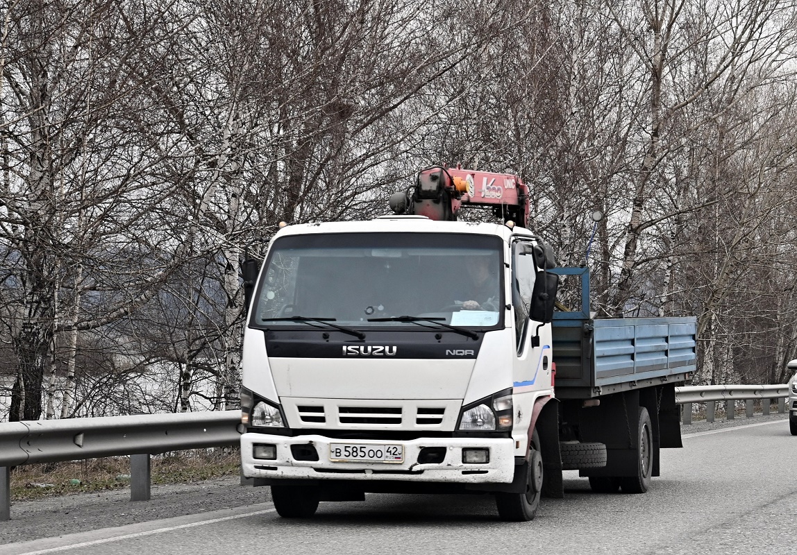 Кемеровская область, № В 585 ОО 42 — Isuzu NQR75 [Z7X]