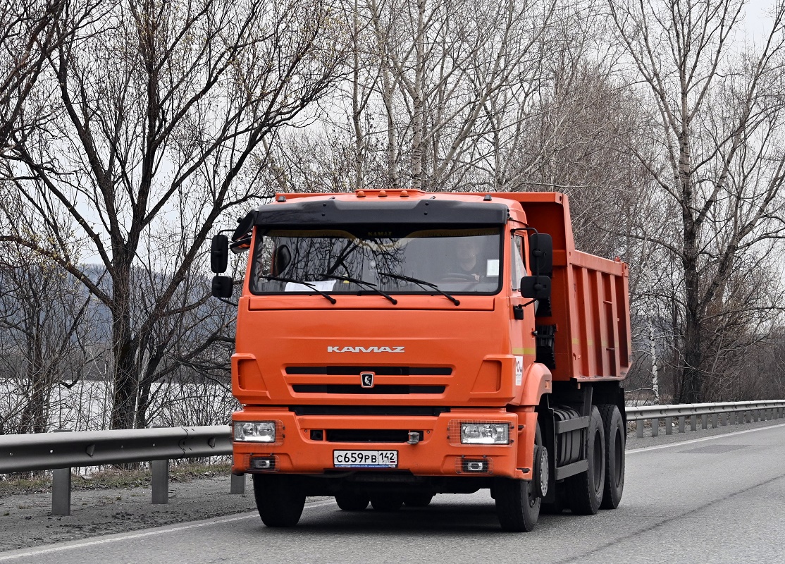 Кемеровская область, № С 659 РВ 142 — КамАЗ-65115-A5(48)