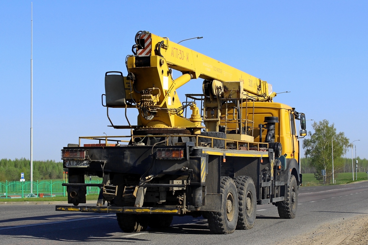 Могилёвская область, № АІ 3685-6 — МАЗ-6317 (общая модель)