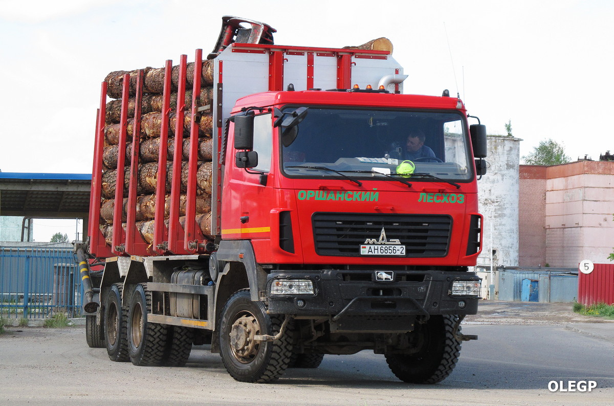Витебская область, № АН 6856-2 — МАЗ-6302