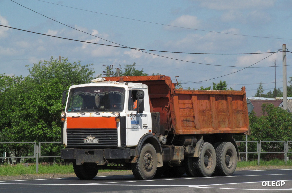 Витебская область, № АВ 8801-2 — МАЗ-5516 (общая модель)