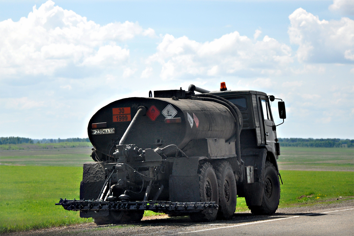 Алтайский край, № Р 230 АА 22 — КамАЗ-43101