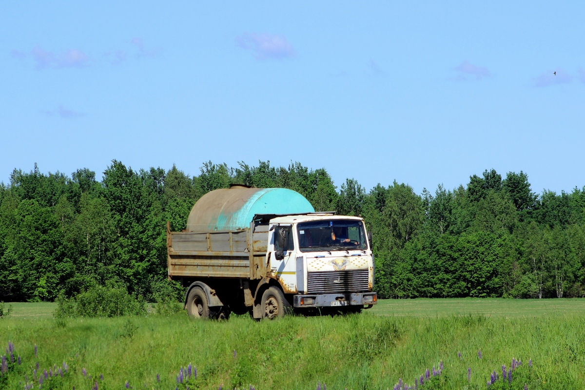 Могилёвская область, № АІ 3699-6 — МАЗ-5551 (общая модель)
