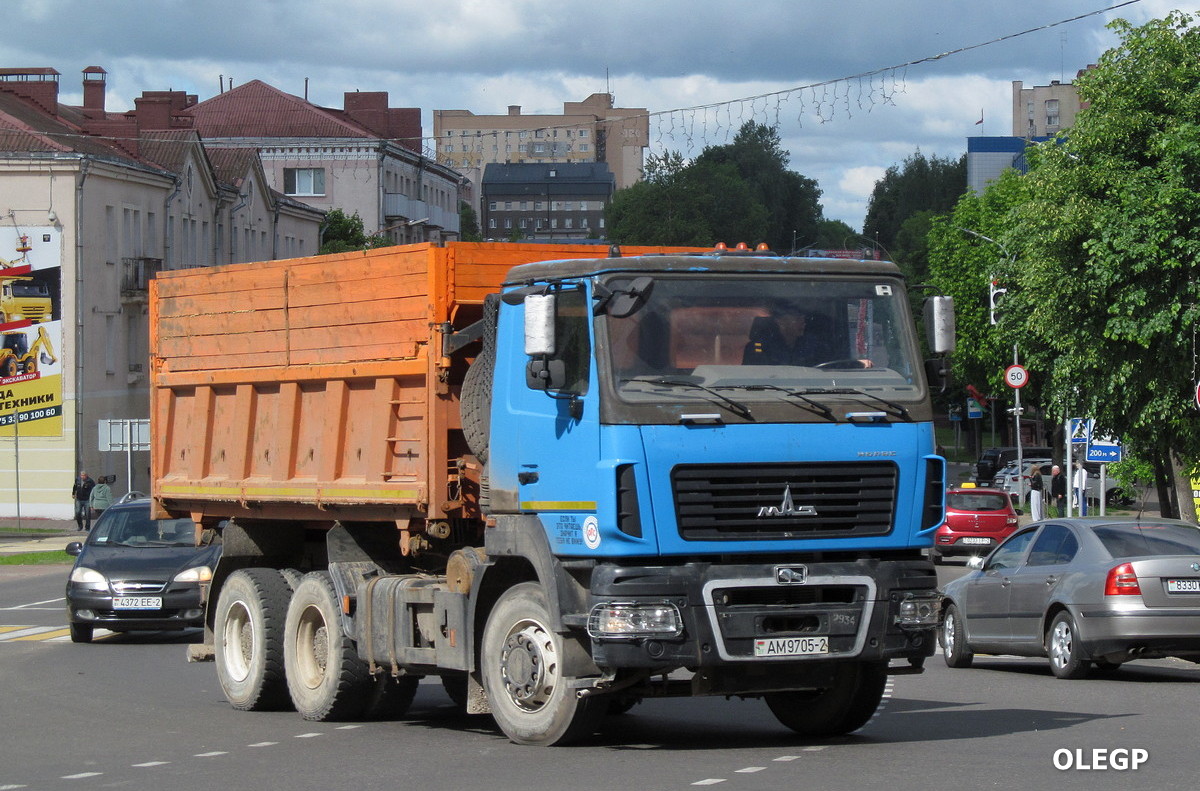Витебская область, № АМ 9705-2 — МАЗ-650128