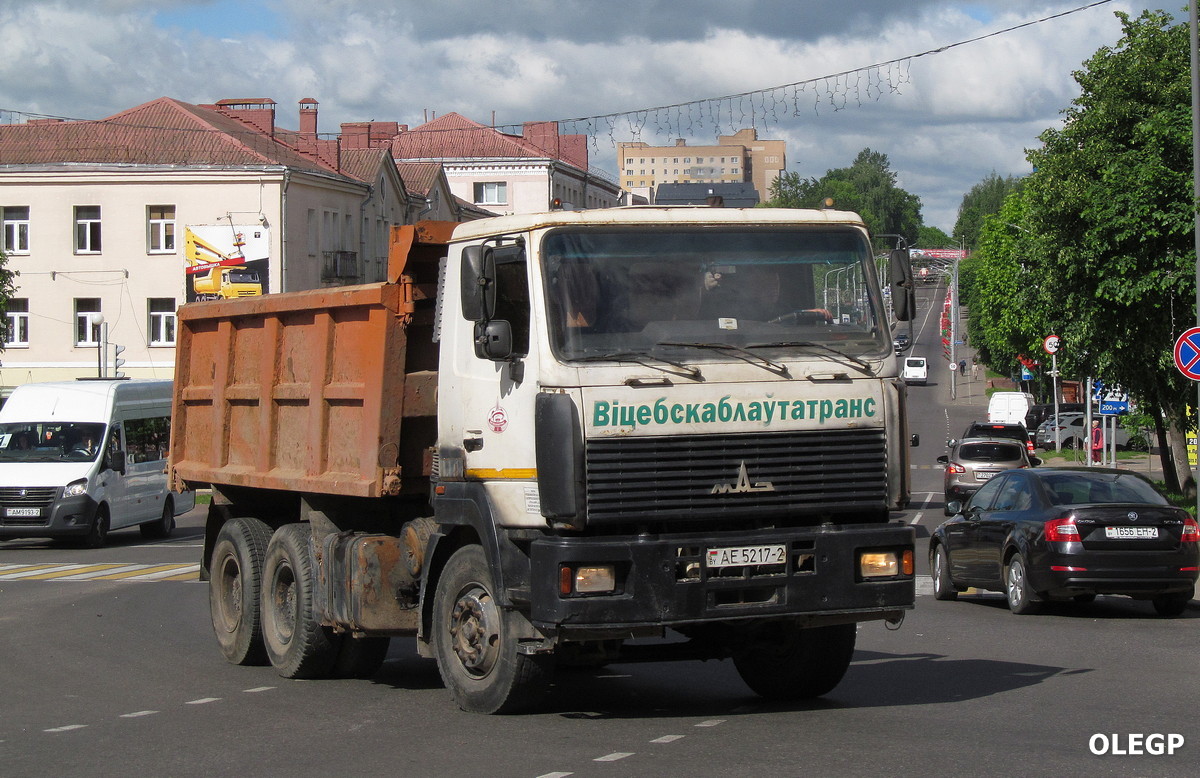 Витебская область, № АЕ 5217-2 — МАЗ-6501 (общая модель)