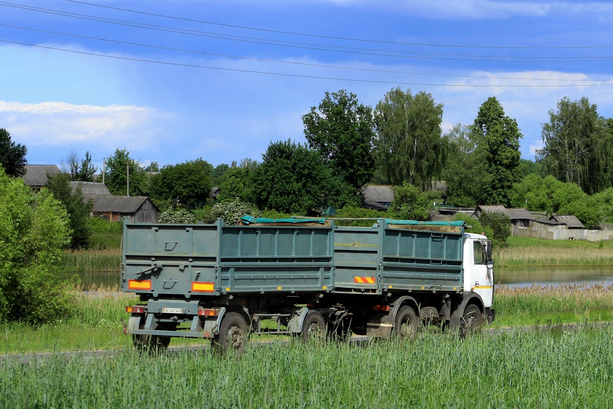 Могилёвская область, № А 1461 А-6 — МАЗ-8571