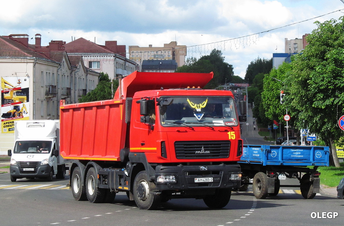 Витебская область, № 15 — МАЗ-650128