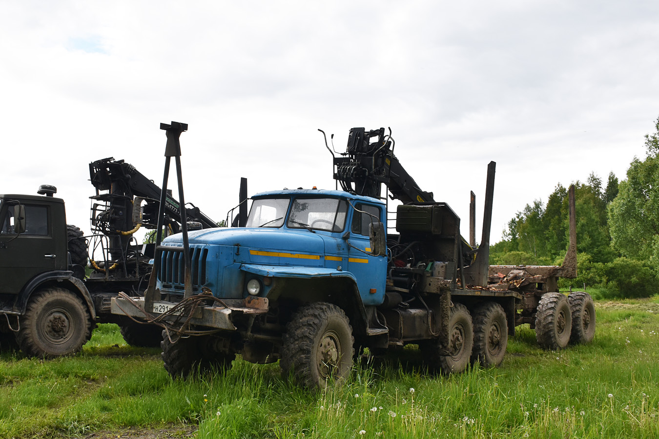 Рязанская область, № Н 291 ЕМ 62 — Урал-5557-10